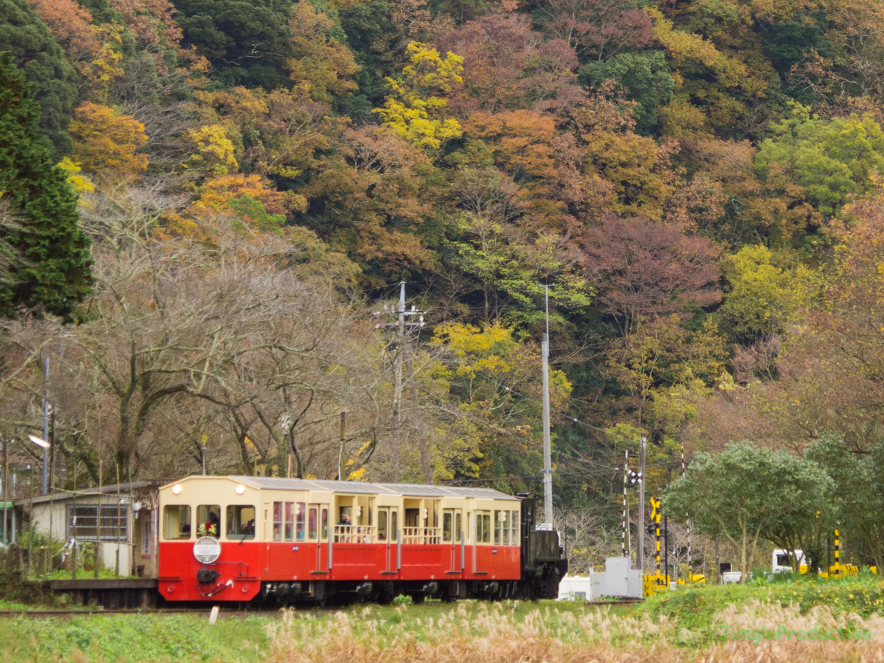 上総大久保駅の紅葉と里山トロッコ列車 小湊鉄道の見える風景 上総大久保駅の紅葉と里山トロッコ列車 小湊鉄道の見える風景