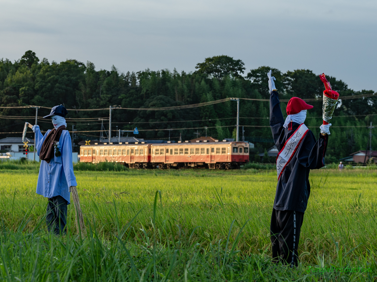 田んぼの中のカカシ２人 小湊鉄道の見える風景