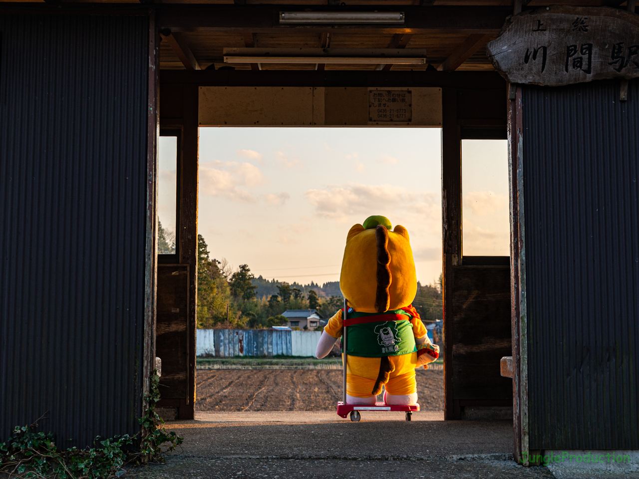 夕暮れに上総川間駅で黄昏る「どでかぐんまちゃん」