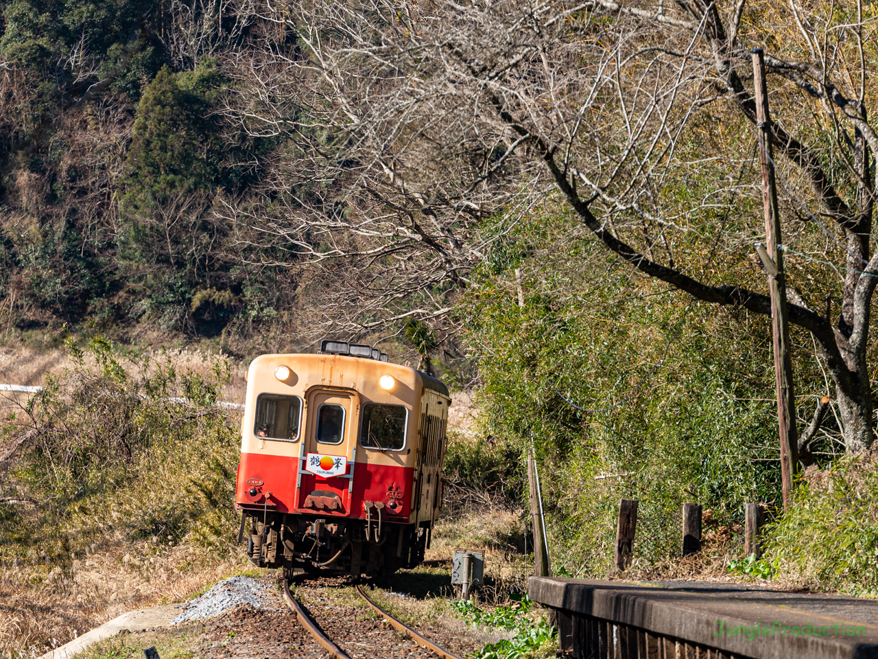 日没近くの柔らかい日差しの中を「鶴峰」ヘッドマークをつけた小湊鉄道の列車が走る