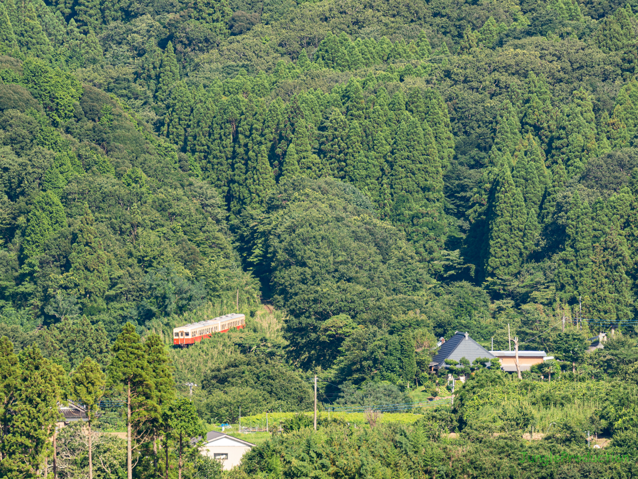 深い山に抱かれた小湊鉄道の気動車