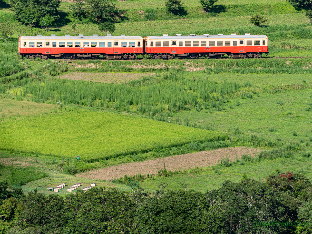 ミツバチの巣箱のそばを走る小湊鉄道の気動車