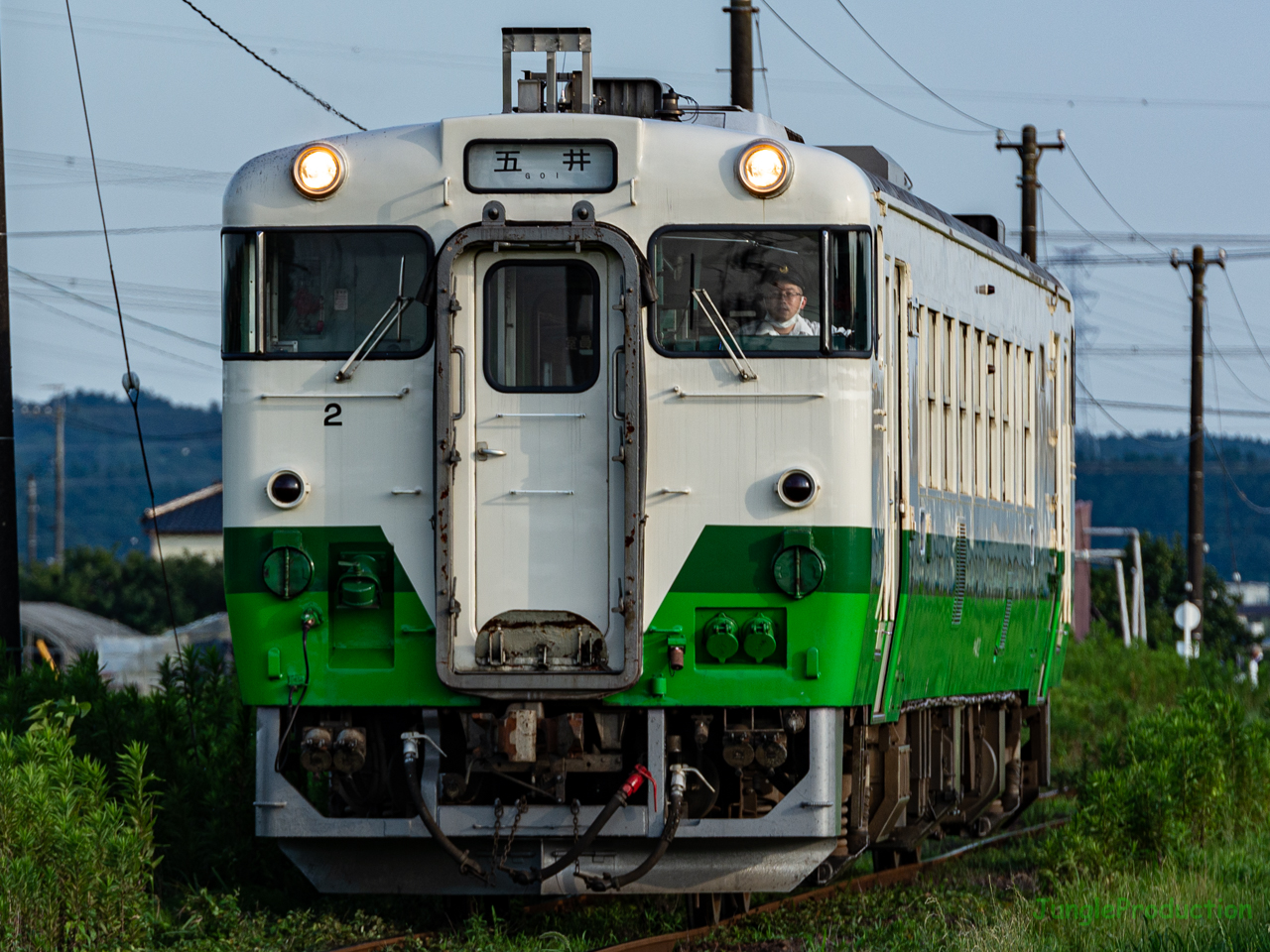 ネギ色の車を正面がちに