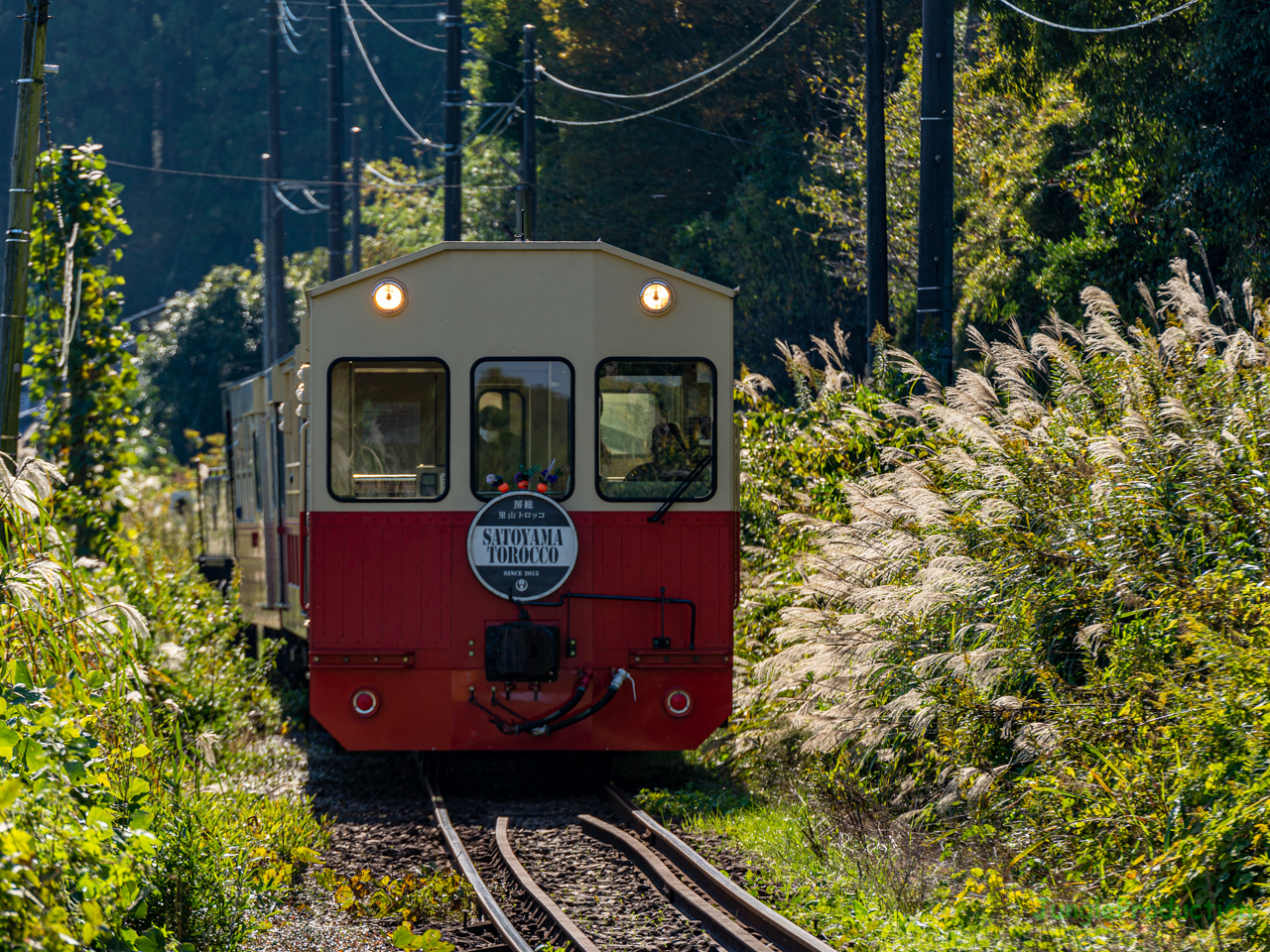 大戸の踏切からトロッコ列車を撮る