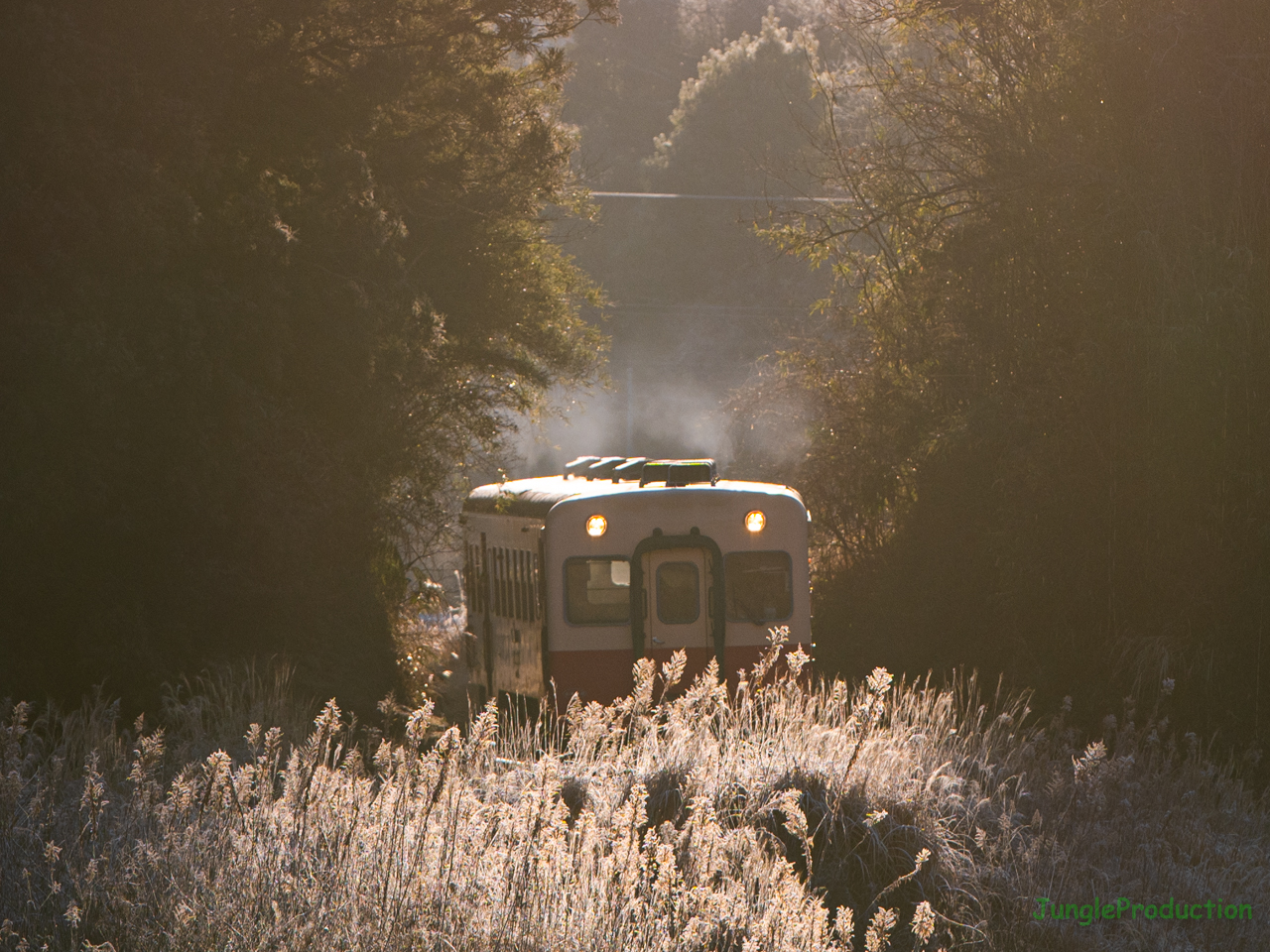 朝のスポットライトを受けて列車が走る