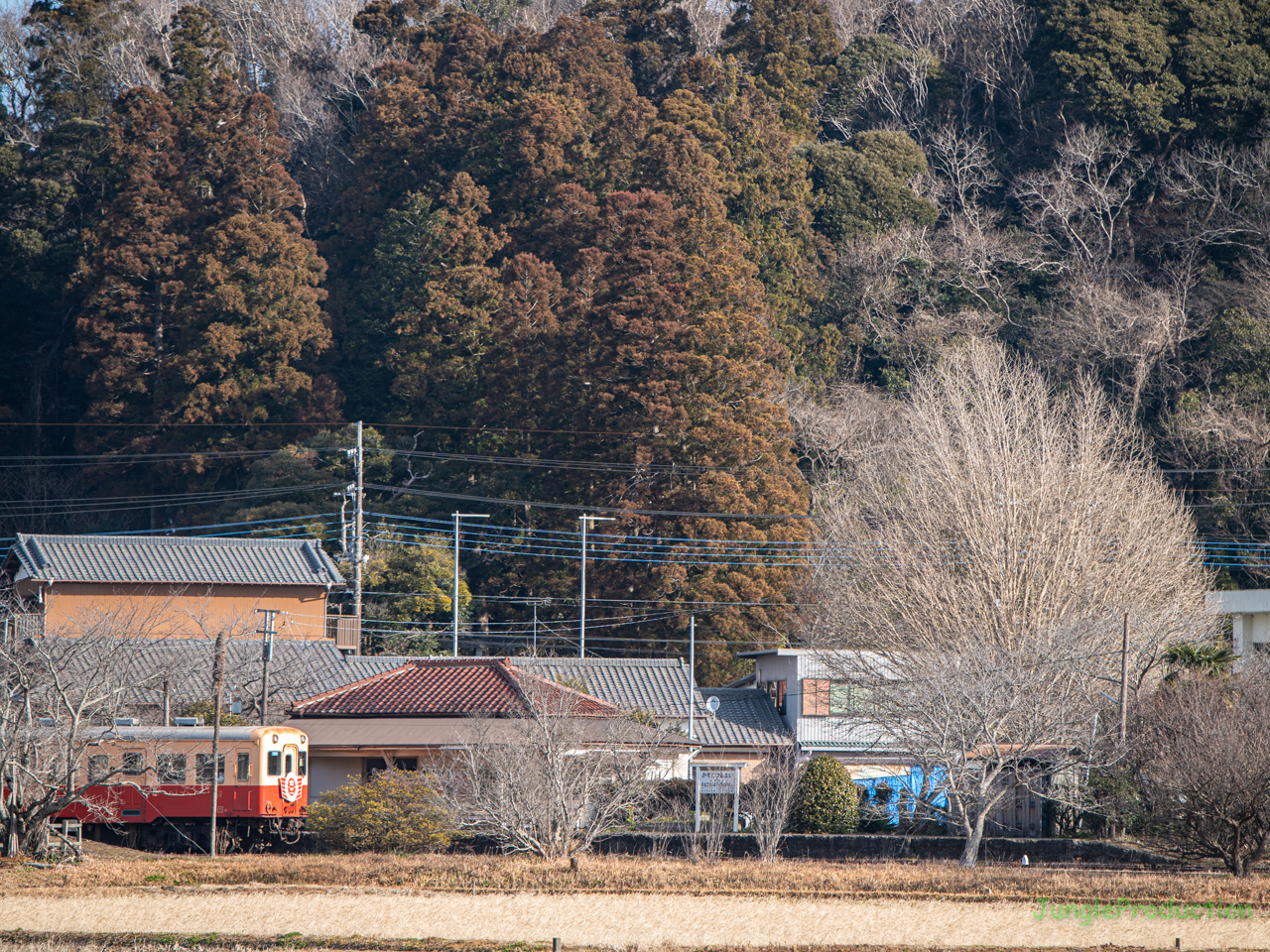 冬の風景の中をキハ201が走る