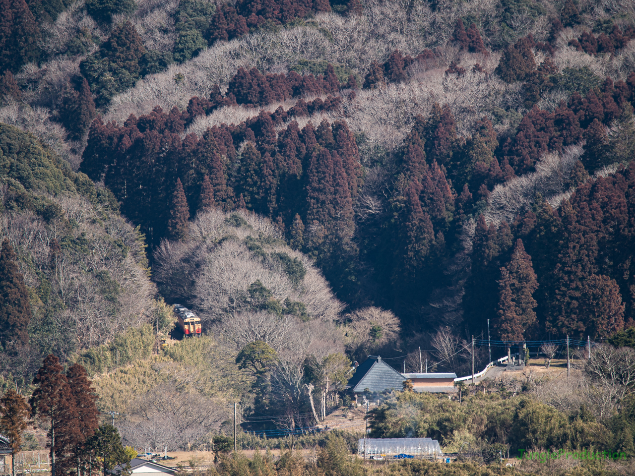 朝生原の山の中を行くキハ40