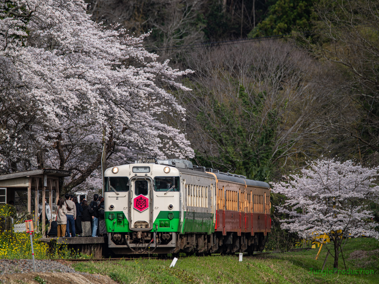 上総大久保駅に停車するプロレス列車