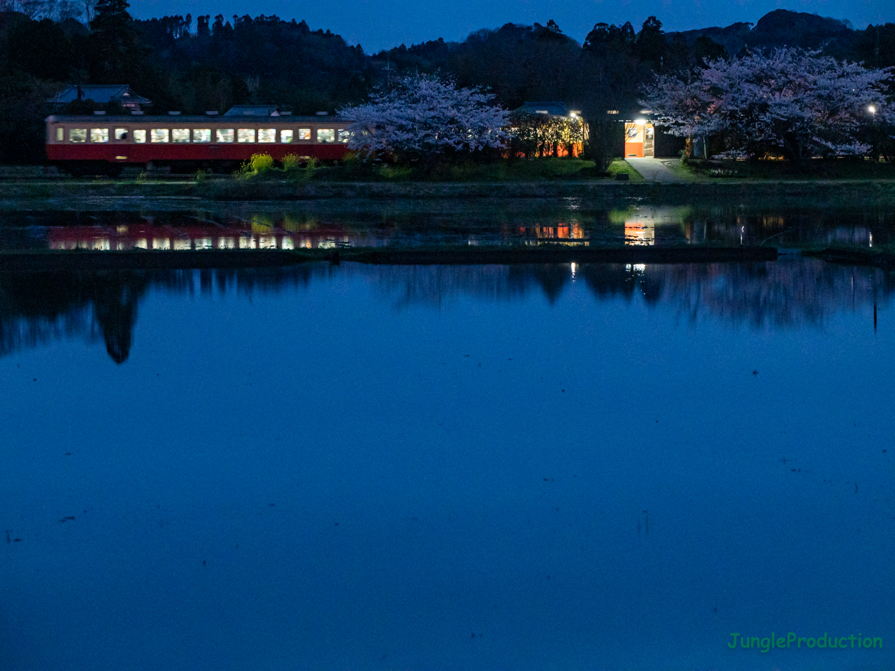 夜桜見物＠上総川間駅