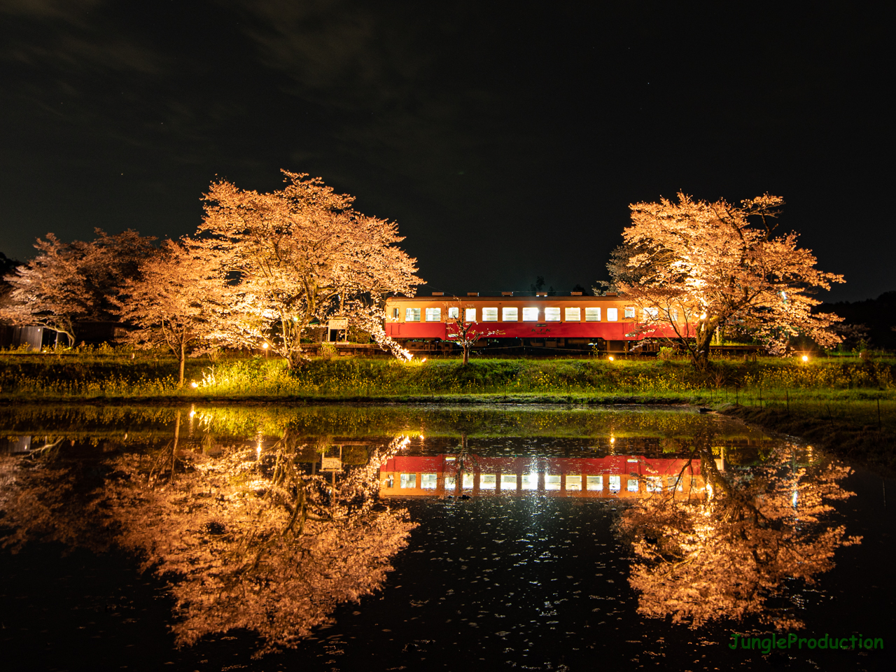 定番飯給駅の夜桜ライトアップ