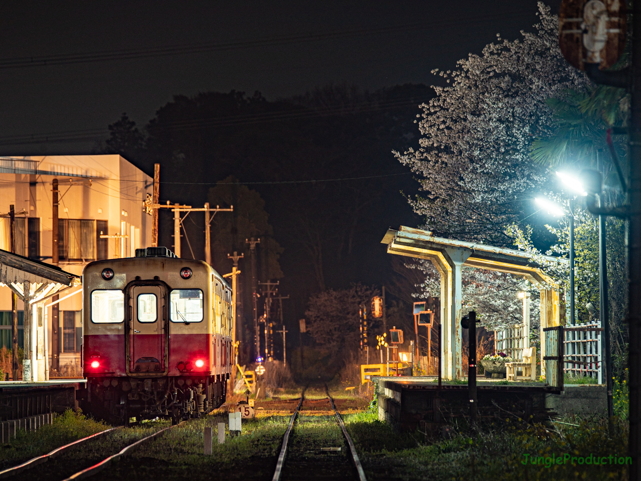 馬立駅で夜桜見物