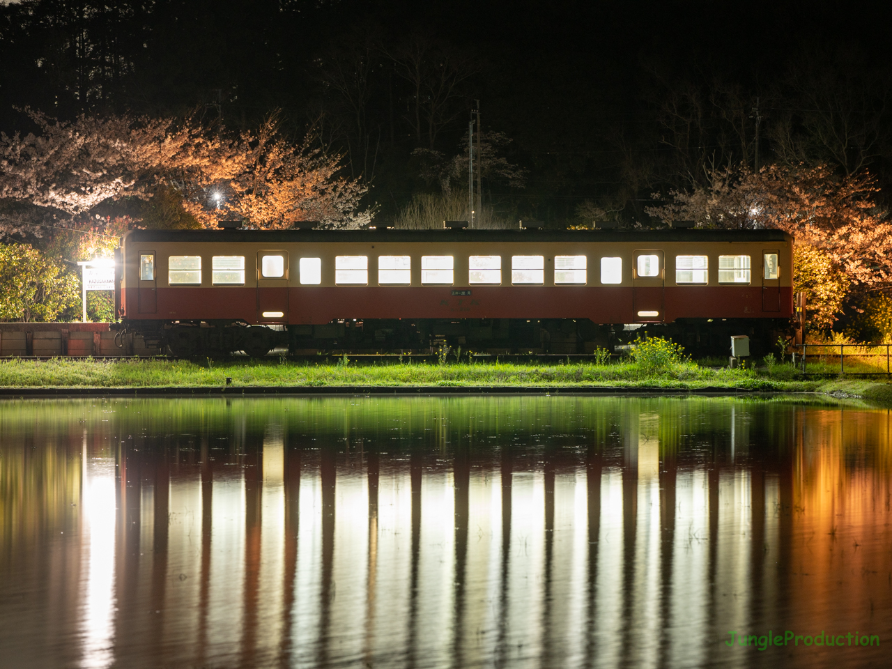 上総川間駅で夜桜見物