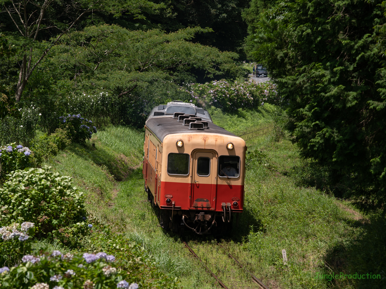 トップライトの野田っぽをキハ40を従えたキハ200がゆく