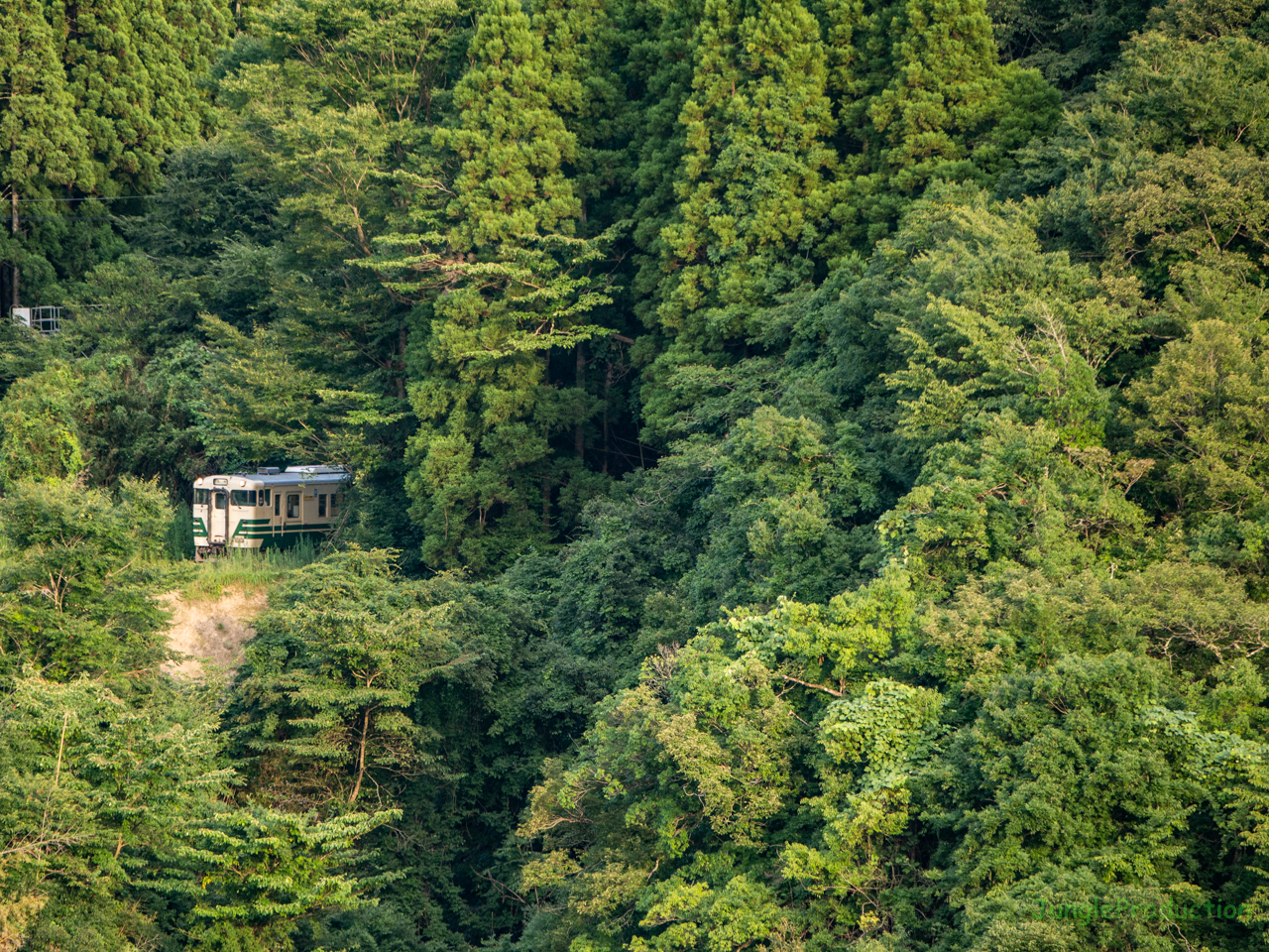 山深い沿線の中から一瞬だけ顔を出すキハ40