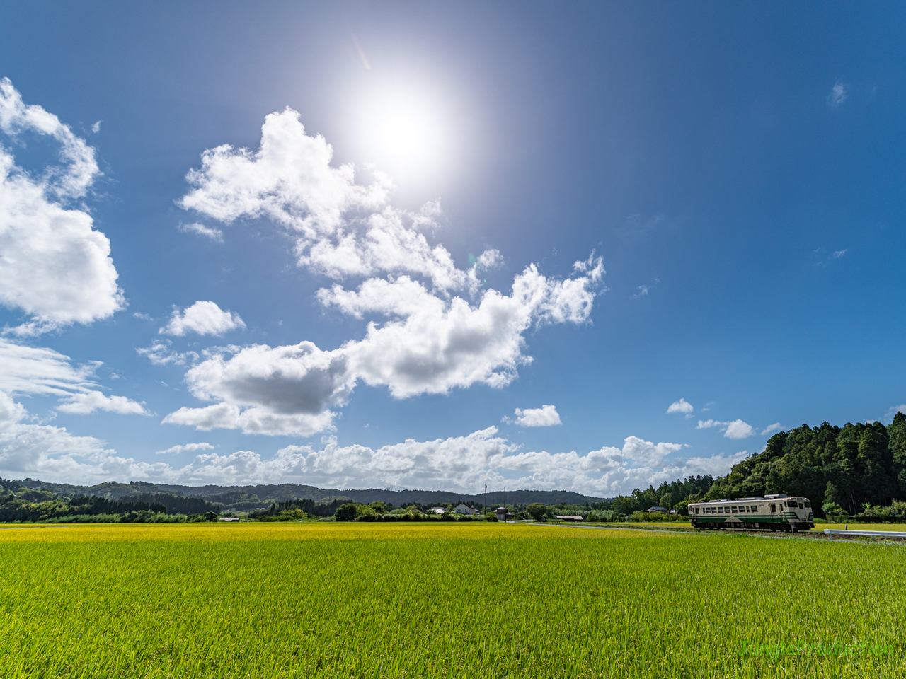 夏空とキハ