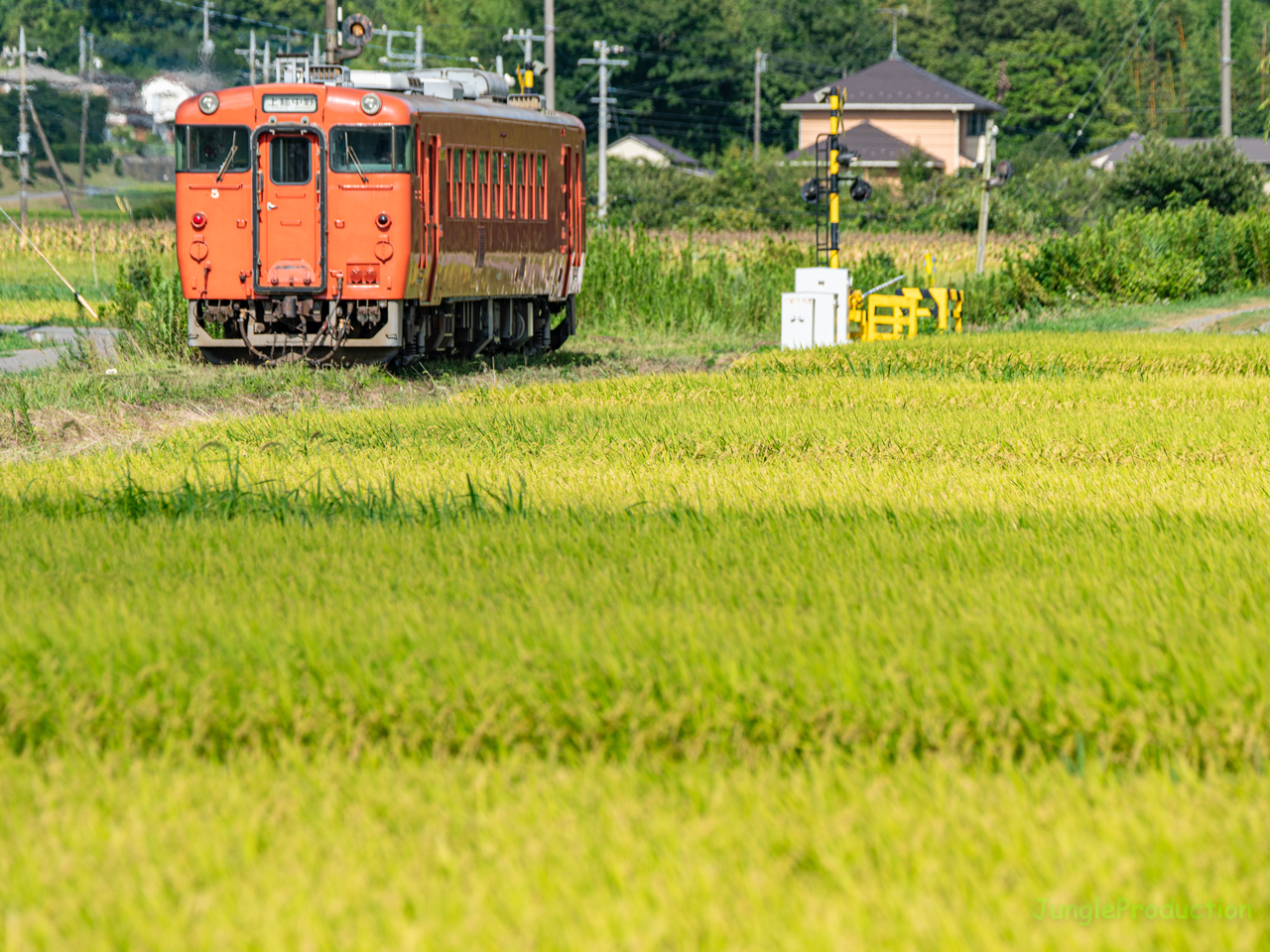 都心から1時間ちょっとで来れる里山の風系を往く小湊鉄道のキハ40