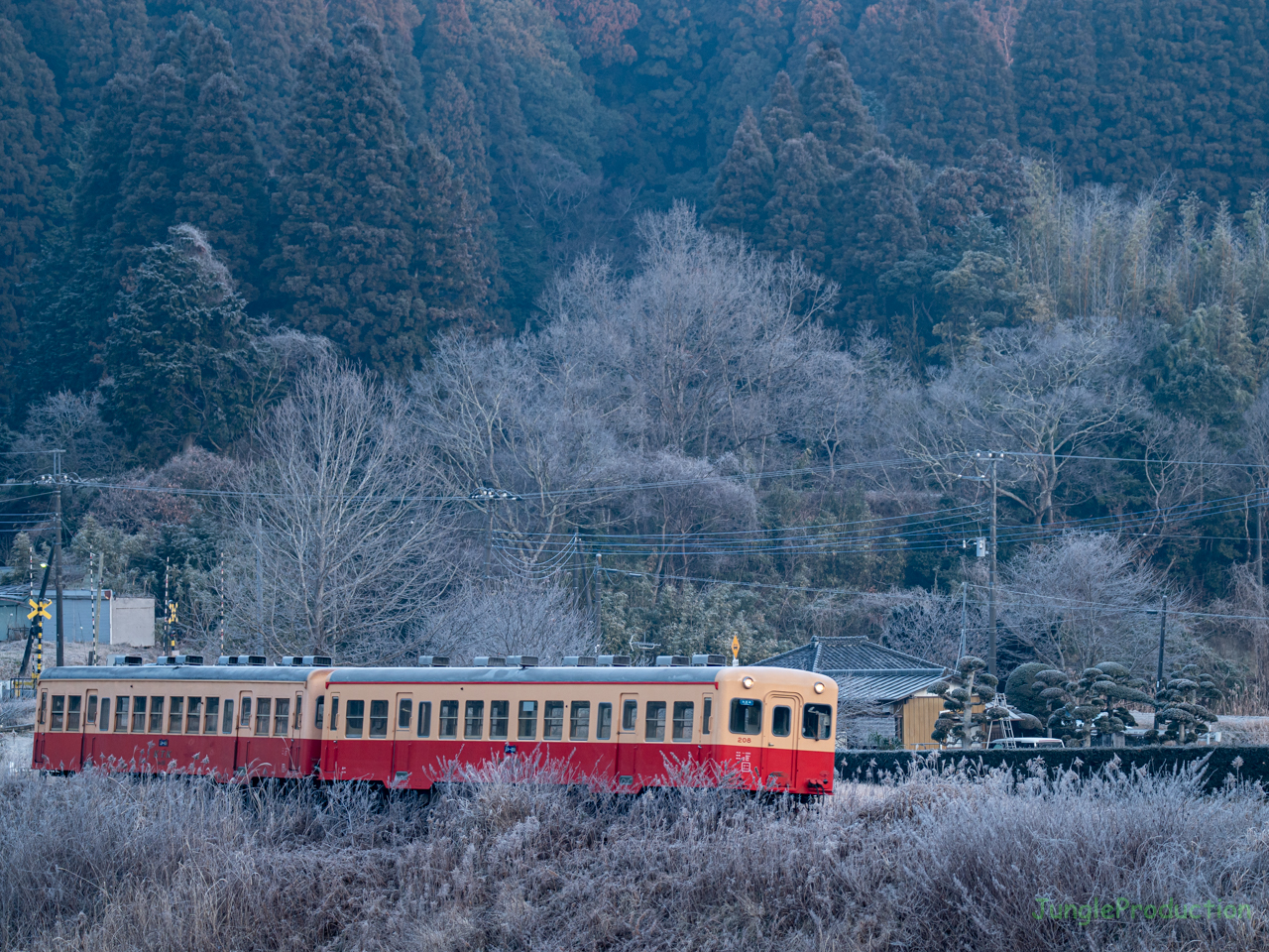 霜で白くなった里山を小湊鉄道の気動車が走る