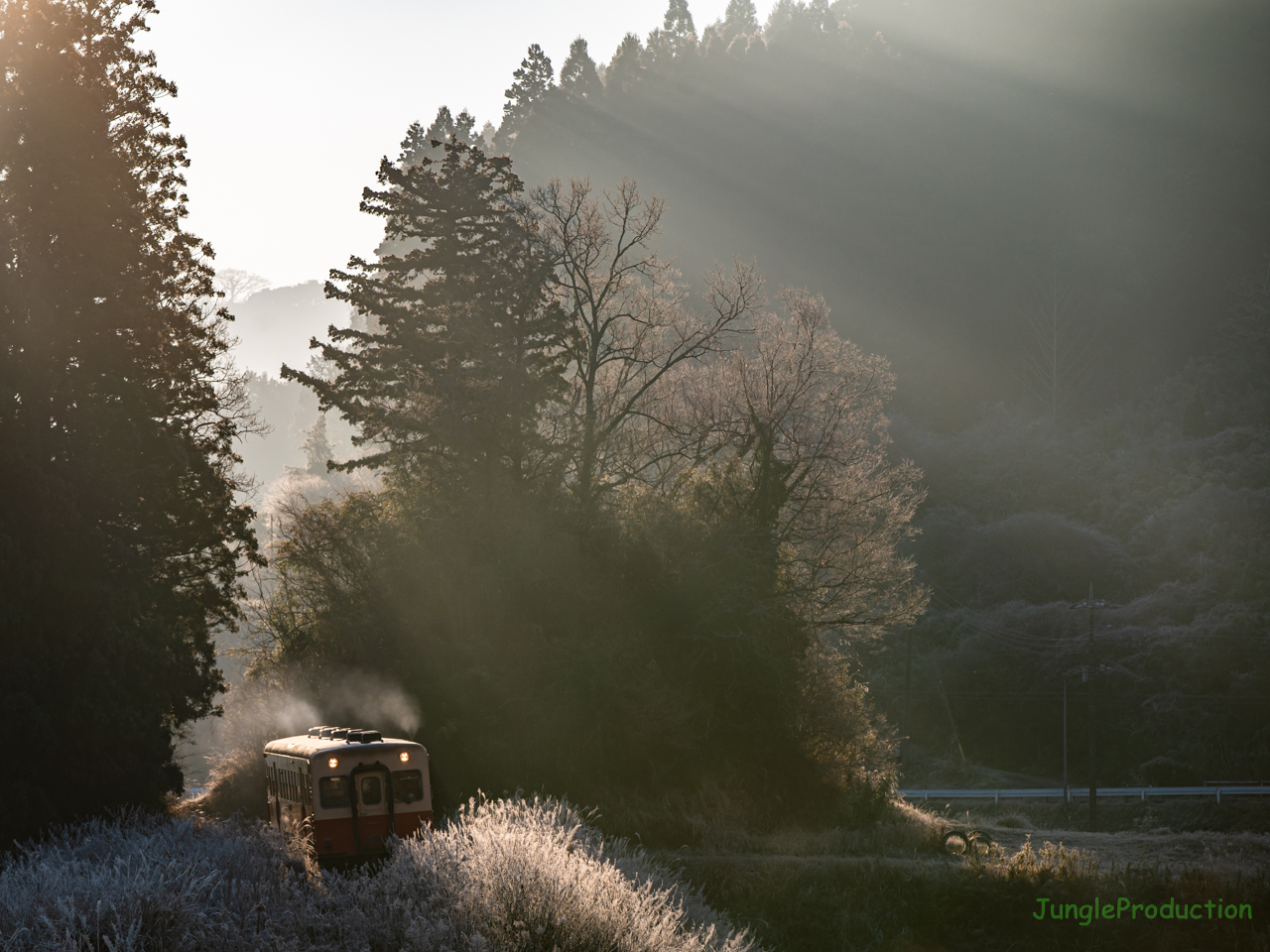 朝の日差しで霜が綺麗に光る風景の中を小湊鉄道の気動車が走る