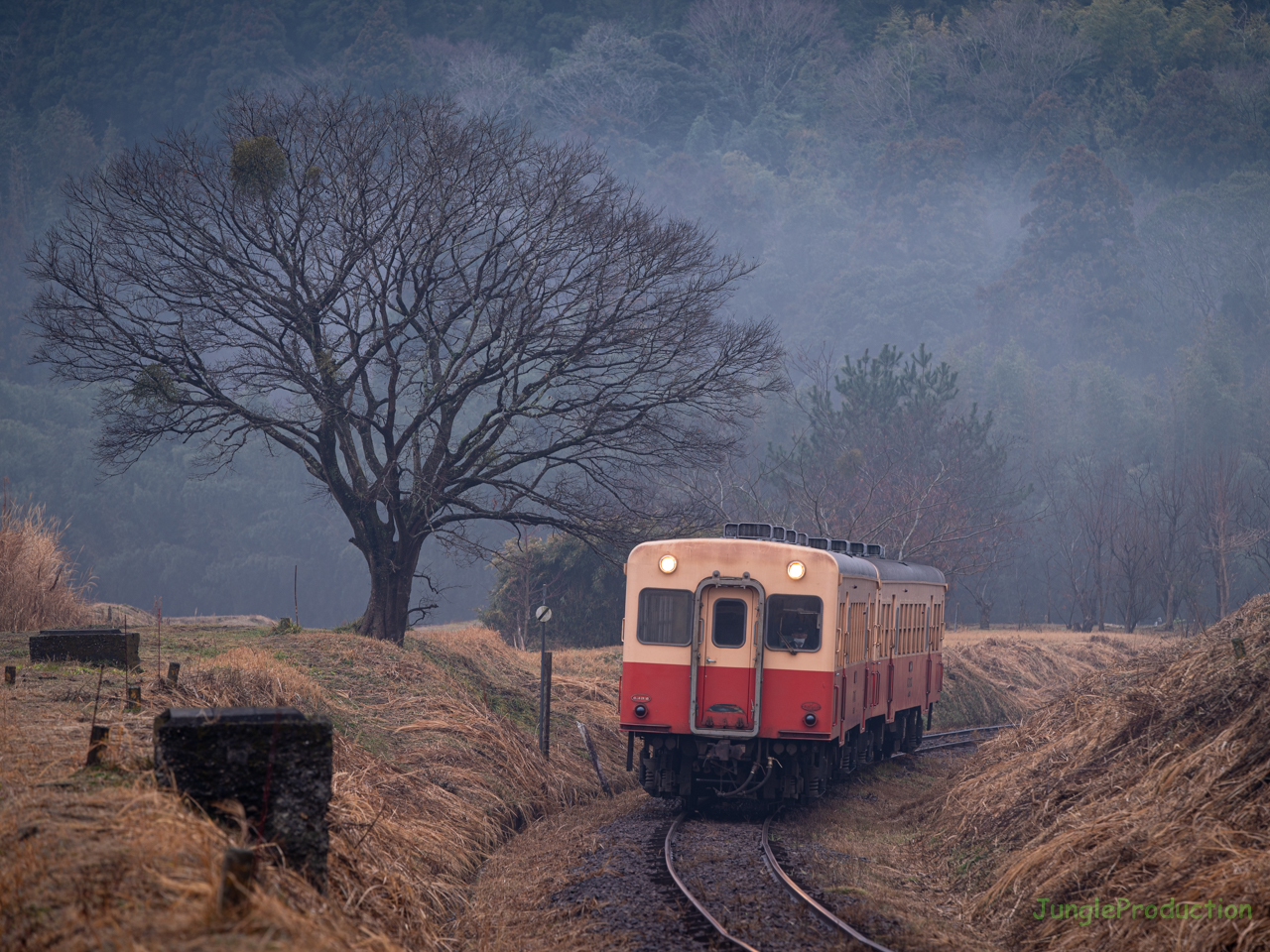 薄霞の中で割堀を登ってくる小湊鉄道のキハ200