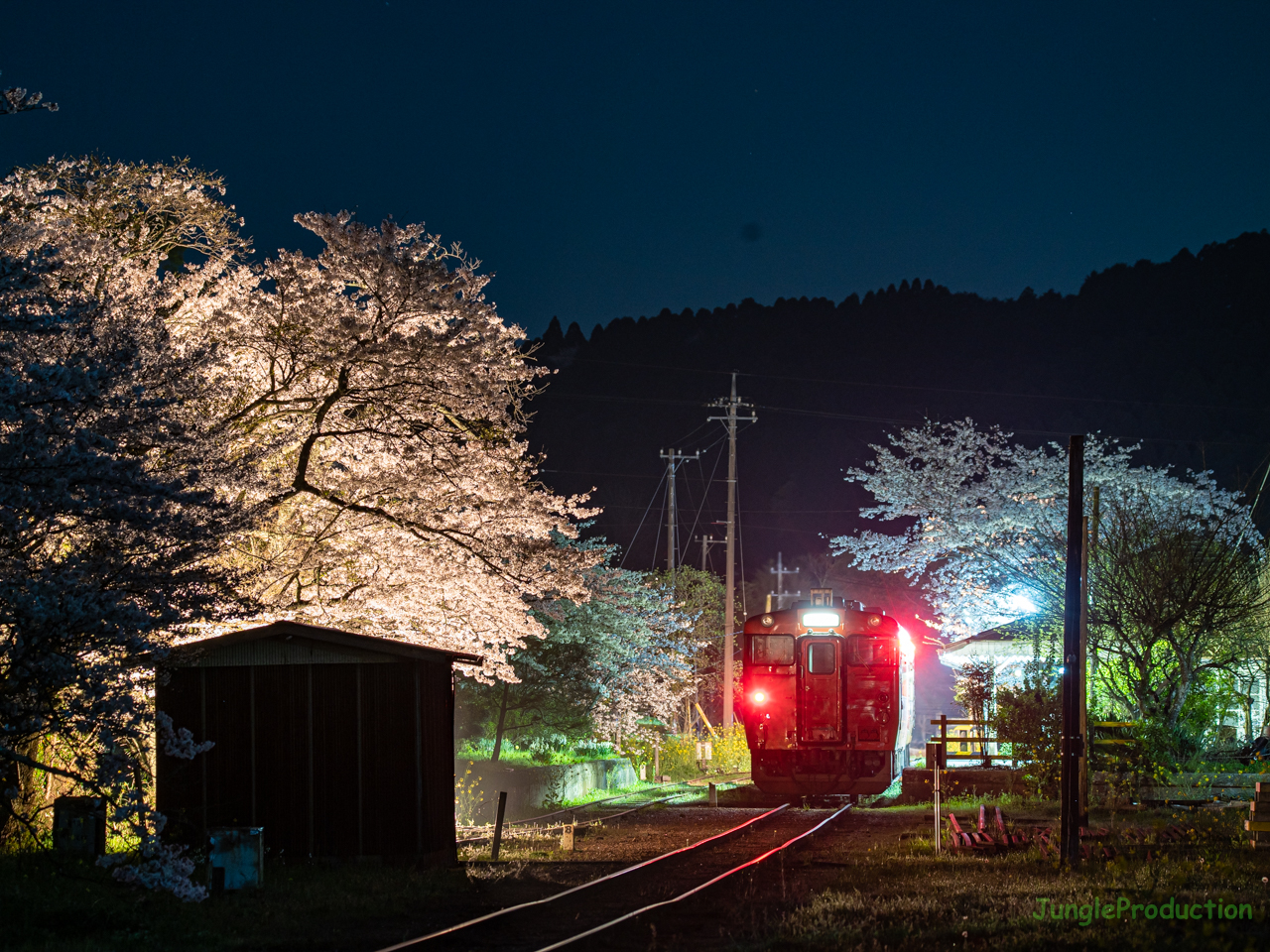満開の高滝駅で小湊鉄道のキハ40を撮る