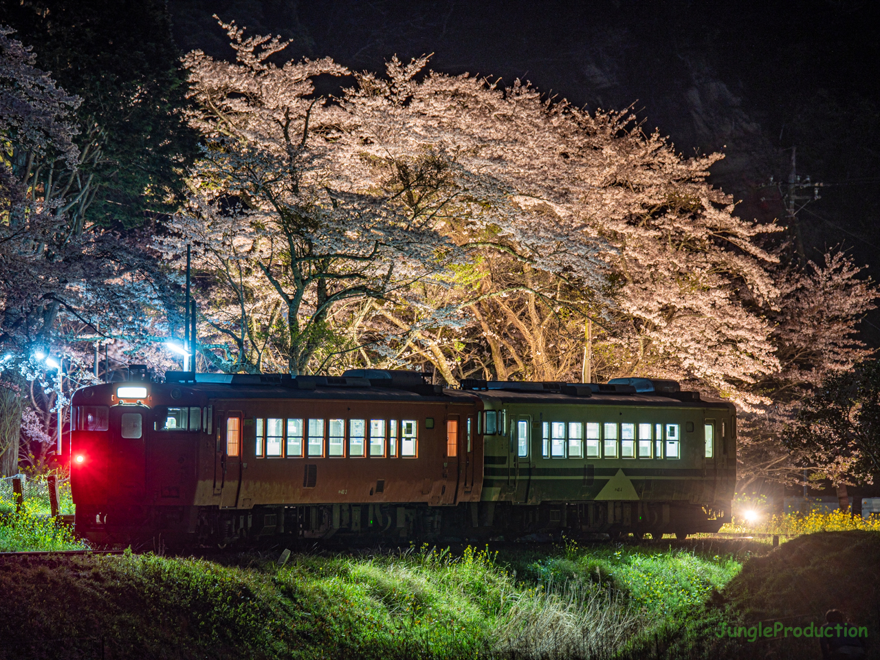 上総大久保駅で夜桜見物
