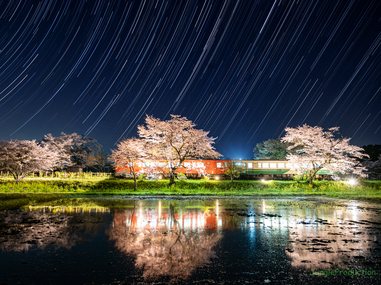 飯給駅で夜桜見物