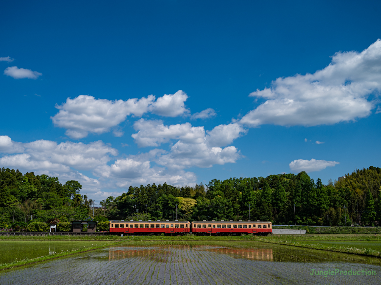 夏空の下の小湊鉄道