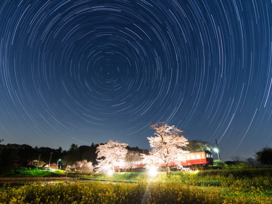 StarStaX_DSC_4178-DSC_4608_lightenのコピー