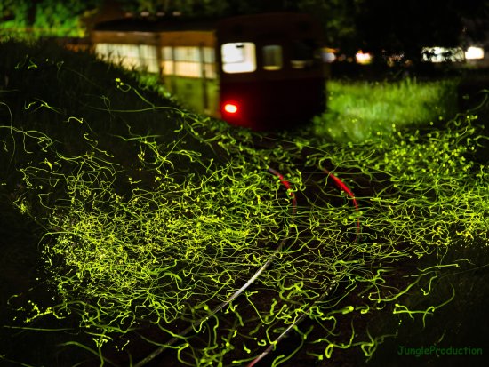 StarStaX_DSC_3928-DSC_4208_lighten