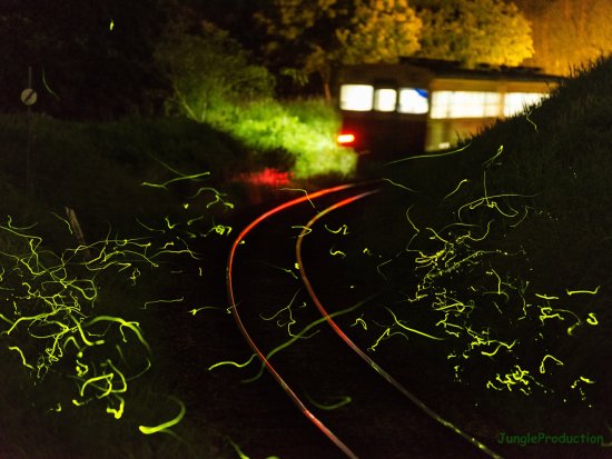 StarStaX_DSC_4320-DSC_4412_lighten