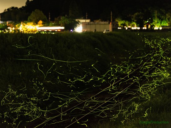 StarStaX_DSC_4449-DSC_4645_lighten