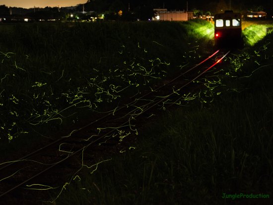 StarStaX_DSC_4820-DSC_4847_lighten