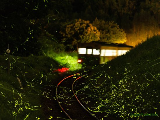 StarStaX_DSC_5162-DSC_5238_lighten