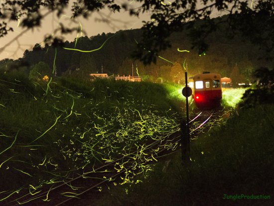 StarStaX_DSC_5285-DSC_5417_lighten