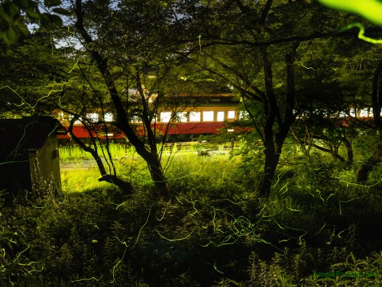 StarStaX_DSC_5485-DSC_5596_lighten