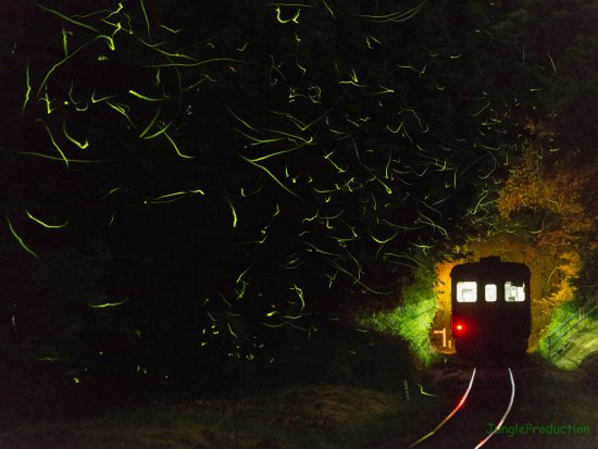 StarStaX_DSC_6064-DSC_6186_lighten