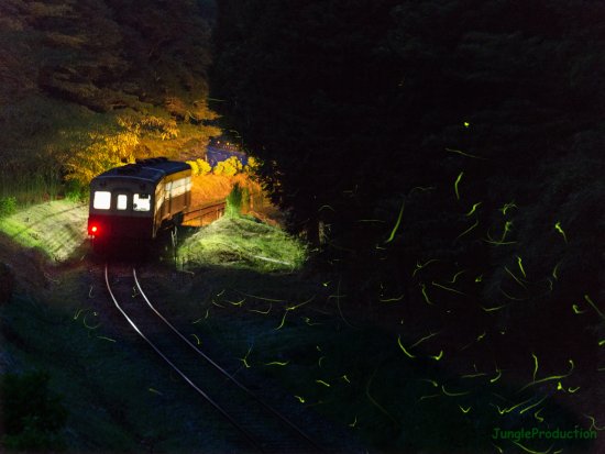 StarStaX_DSC_6508-DSC_6595_lighten1