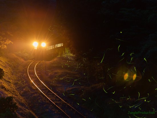 StarStaX_DSC_6508-DSC_6595_lighten2