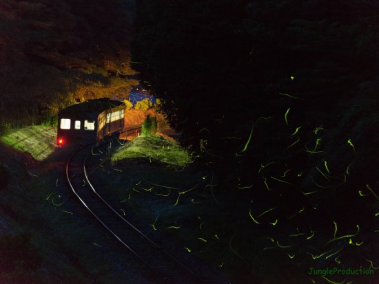 StarStaX_DSC_6508-DSC_6595_lighten3